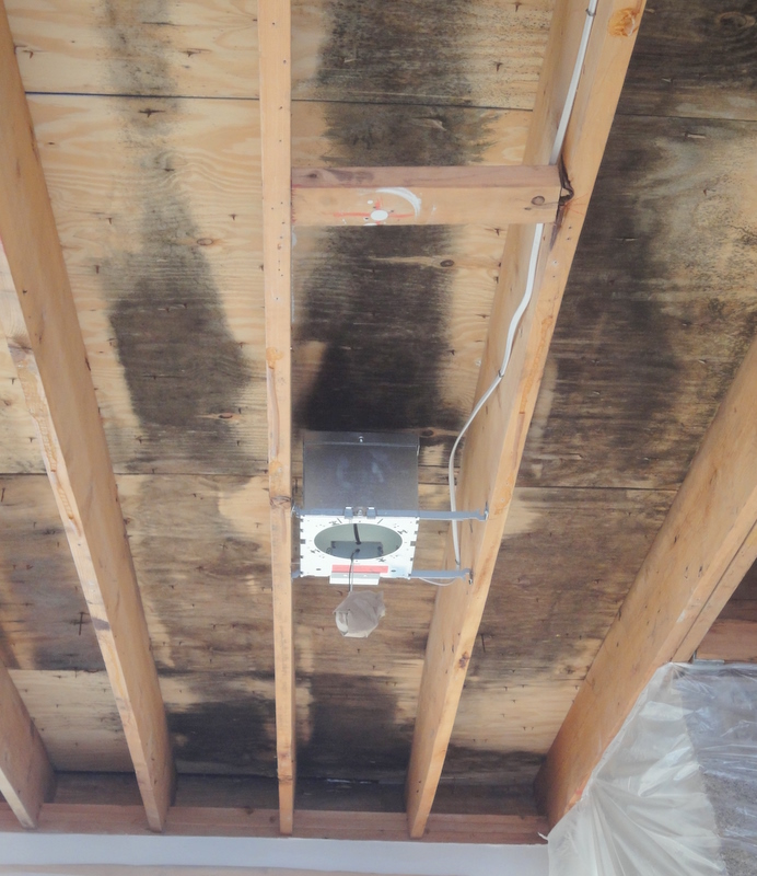 moldy roof rec lights