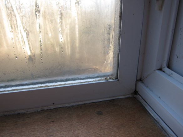 Window condensation