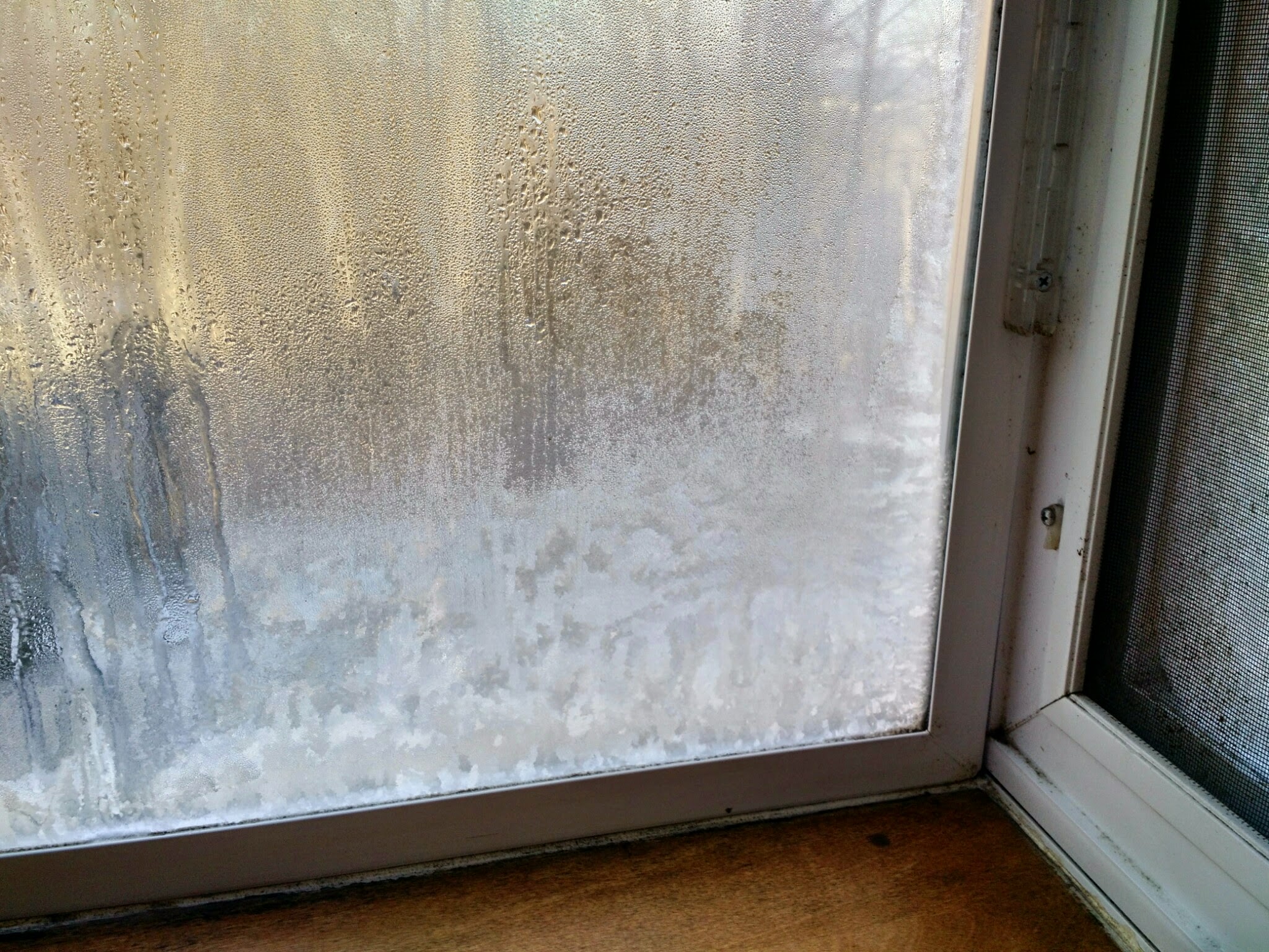 Water and Ice on a Cold Window